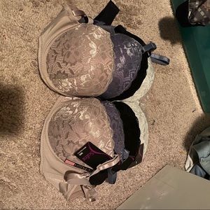 36C push up bras